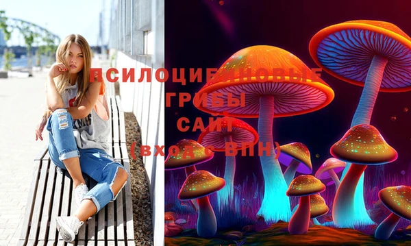 мескалин Балахна