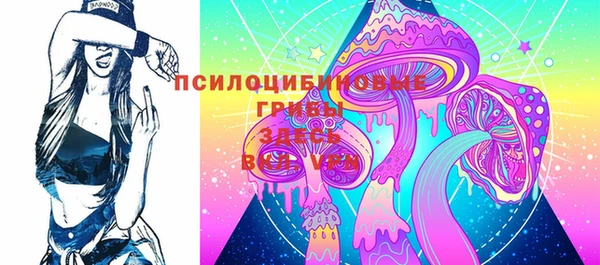 дживик Баксан