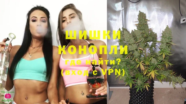 дживик Баксан